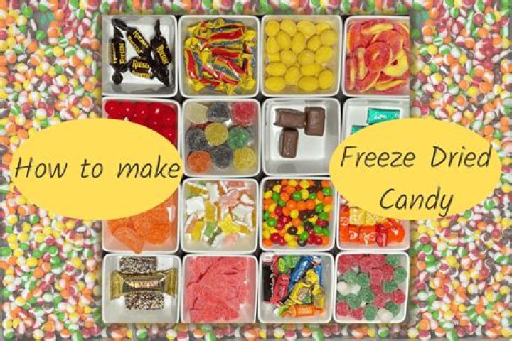 Exploring the World of Freeze Dry Candy: A Delicious Treat