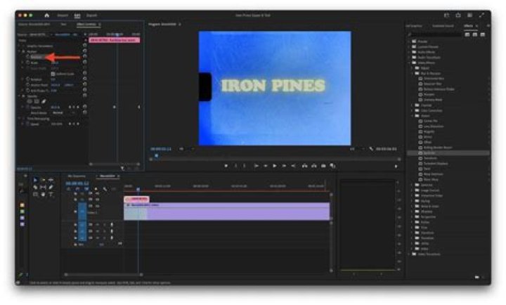 Hot Key to Move Between Keyframes in Premiere Pro