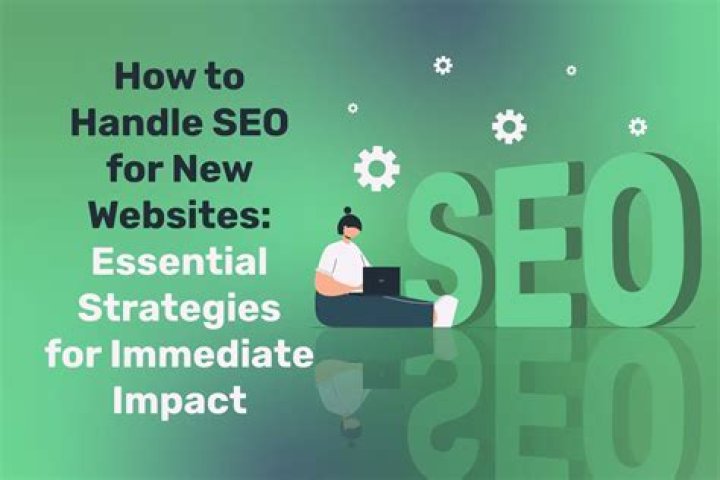 SEO Insights and Expertise from Belinda Emmett