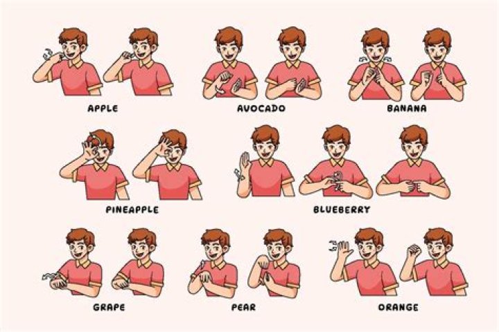 Uncovering the Truth: Is Sign Language an Action or a Language?