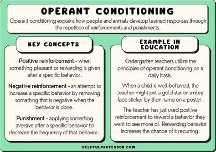 Understanding Stomach Growling Through Operant Conditioning