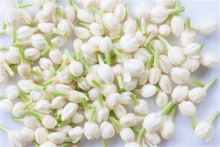What Does Jasmine Smell Like? Discover the Alluring Aroma of Jasmine